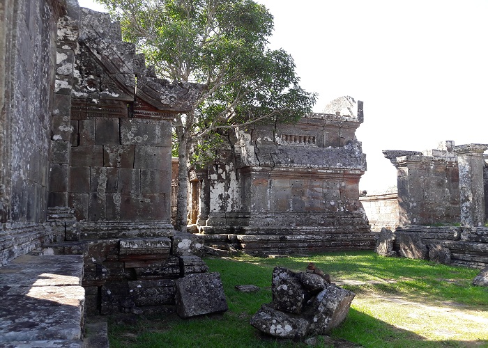 Temple Preah Vihear gopuras arbre